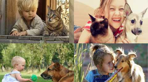 Allergie, passare l'infanzia con un animale diminuisce la possibilit di contrarle